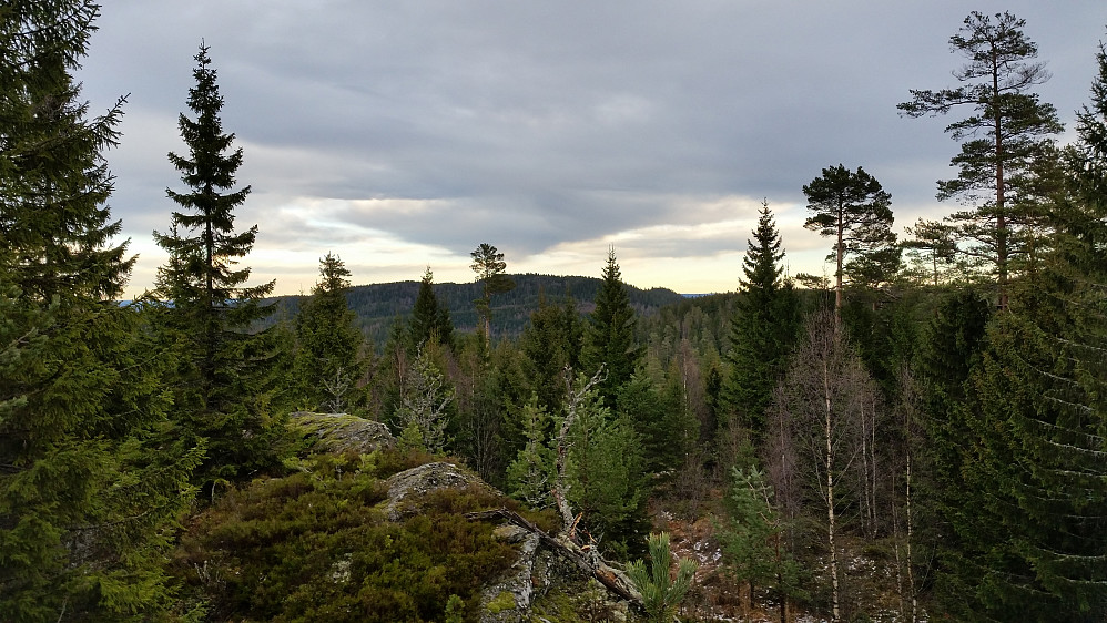 Linfjellet