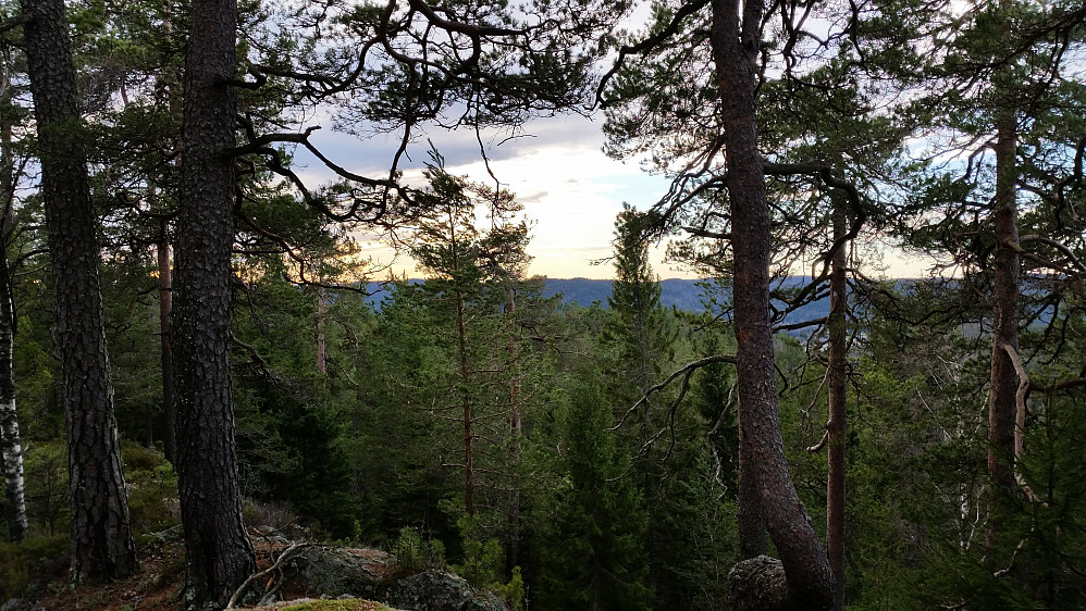 Utsikt fra Skarpdunderen