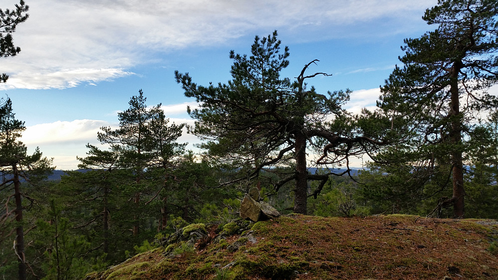 Liten varde på Skarpdunderen