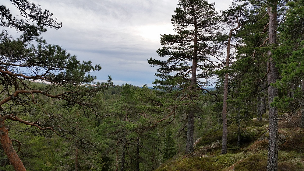 Utsikt fra Skarpdunderen
