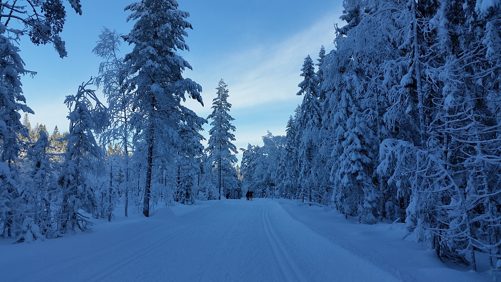 Flott føre,på vei til Kobberhaugstua