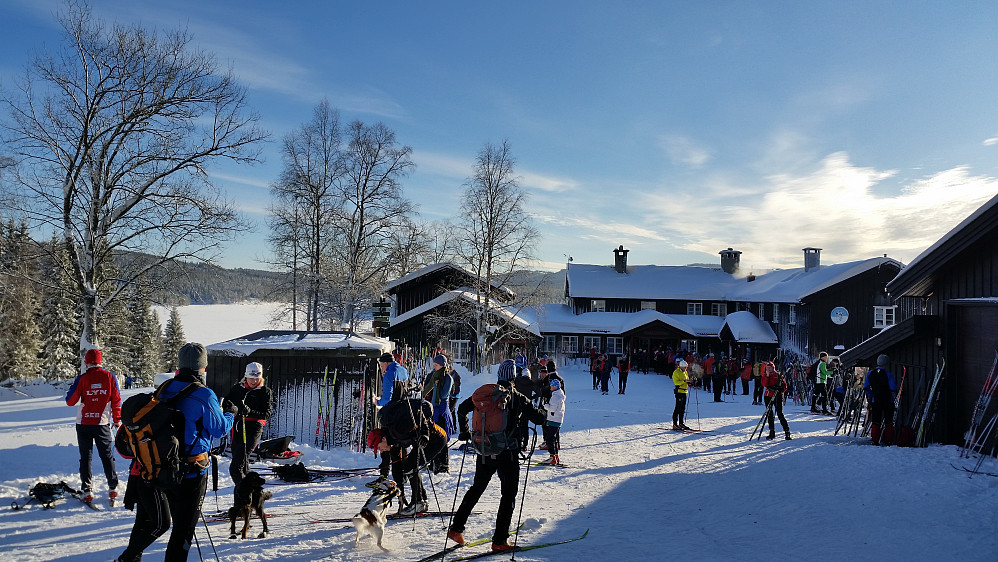 Kikutstua