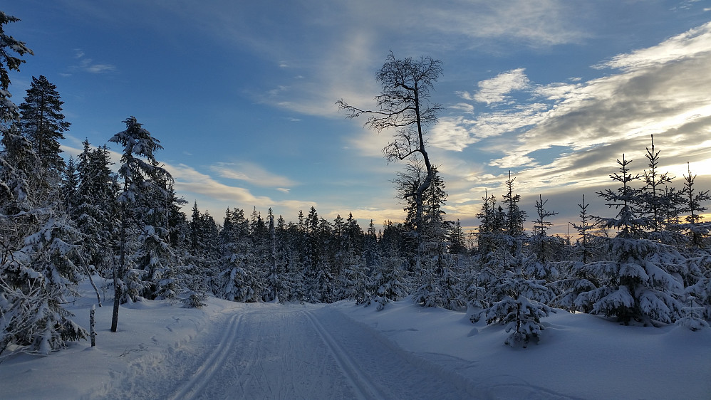 Flott føre ved Appelsinhaugen