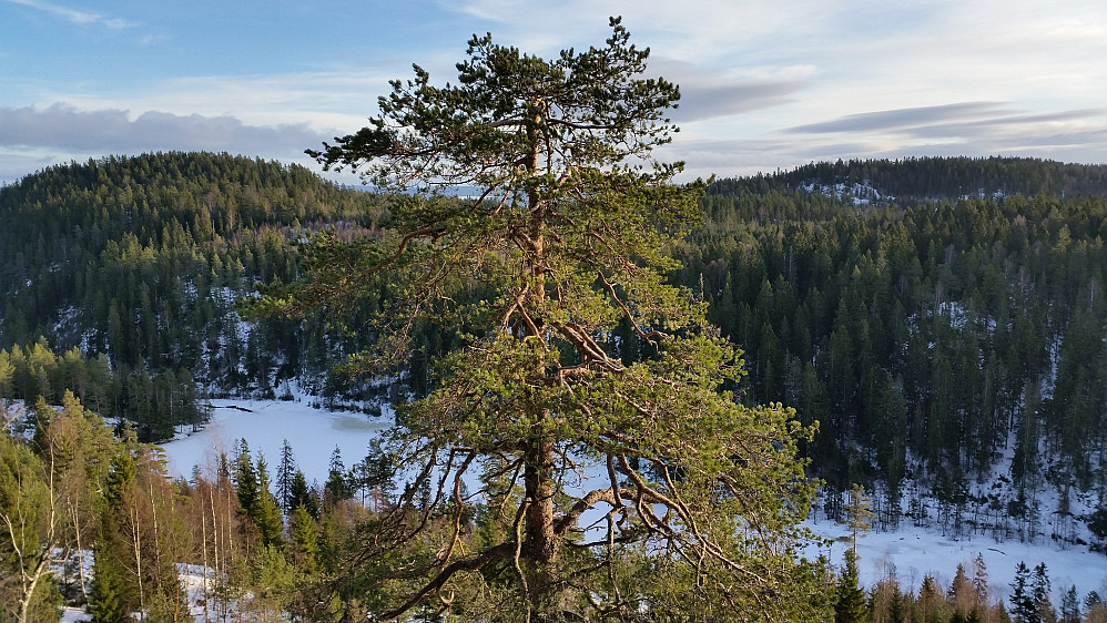 Utsikt mot Setertjern og Setertjernstua,sett fra Snellås