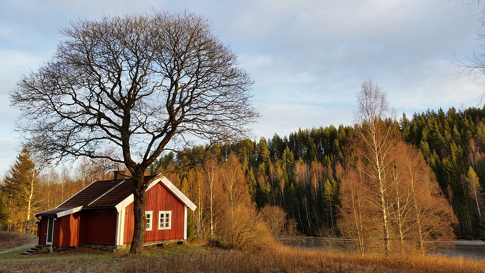 Flott hytte ved Tangen 