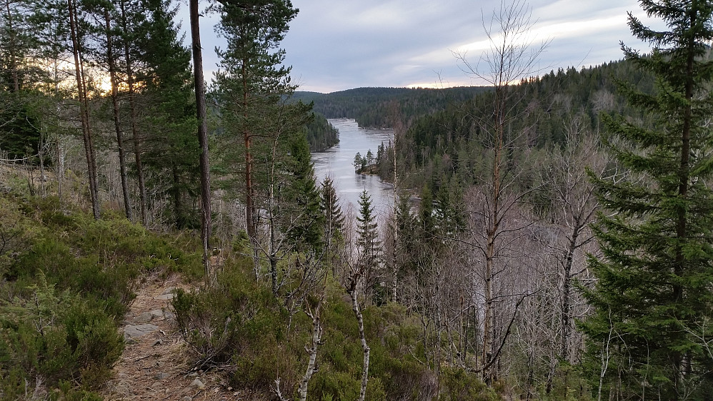 Utsikt mot Mosjøen
