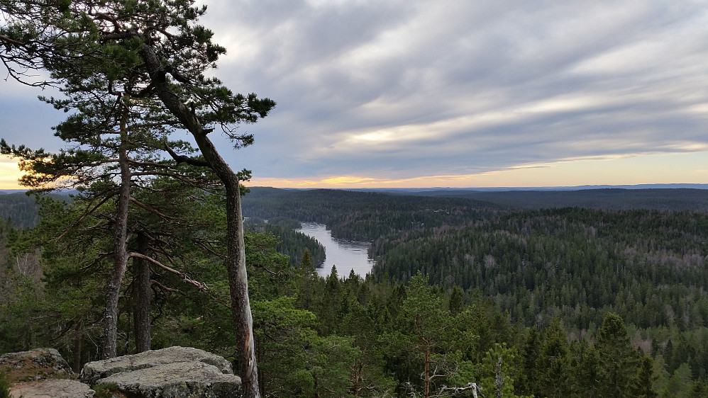 Utsikt fra Tonekollen mot Mosjøen og Vangen