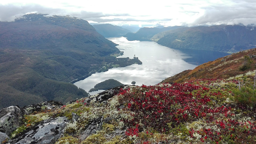 Hornindalsvatnet sett frå Middagsfjellet