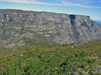 Fra Devil's Peak mot Table Mountain vestre del med kløften Platteklip Gorge