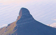 Lion's Head med zoom fra Table Mountain. Ruten vår følger eggen til topps. Vi ser Wally's Cave i bunn av eggen.