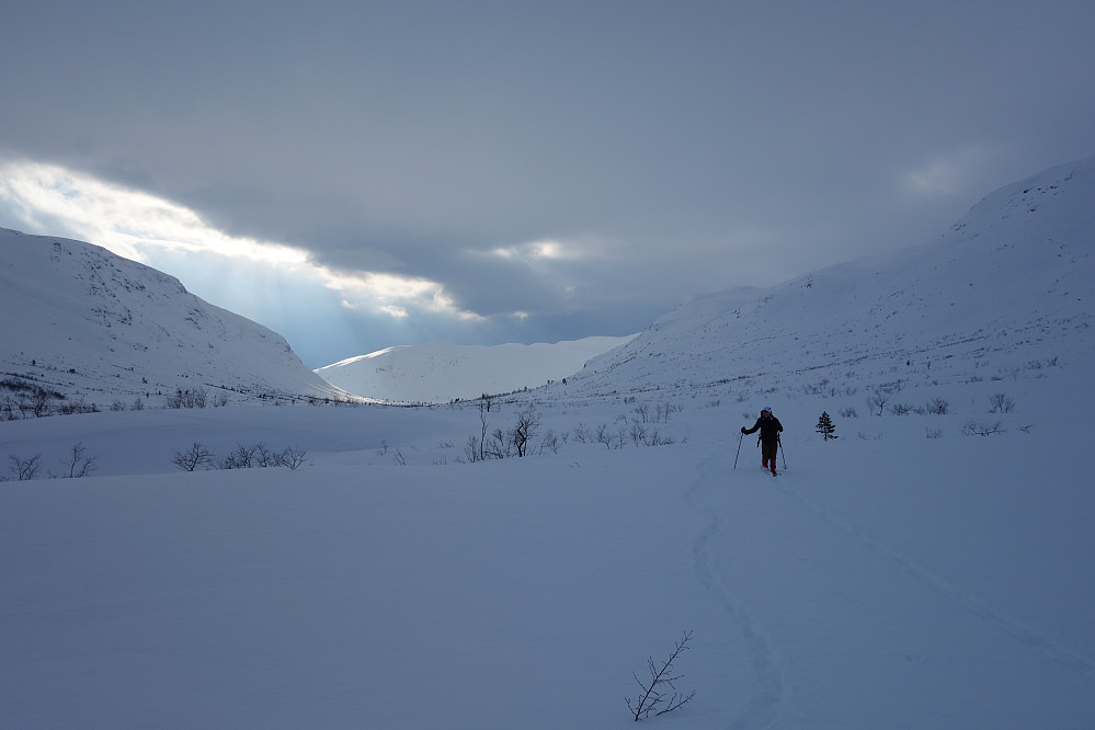 Rjoandalen er flott uten skyting
