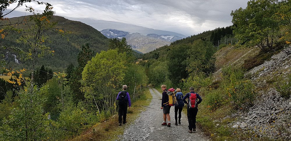 Dag 2: Rett nedenfor Mjølfjell stasjon med utsikt mot Raundalseggen