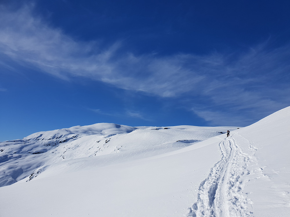 Tveitakvitingen dukker opp