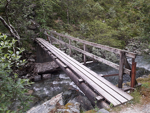 Enkel bro mot Drogagjelet, svak sti rett opp lia