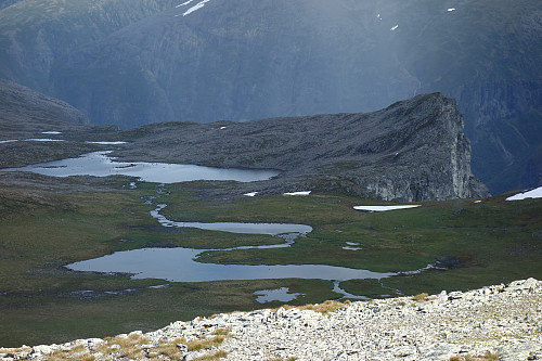 Breidskrednosi fra annen vinkel