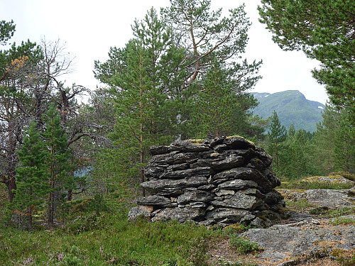 Stolpekar fra gammel telegraflinje