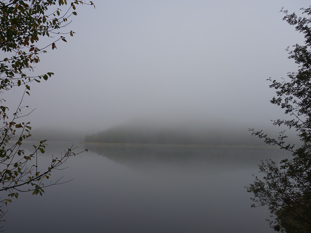 Morgentåke ved Myrdalsvannet