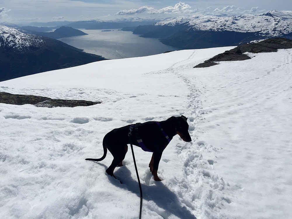 Snø