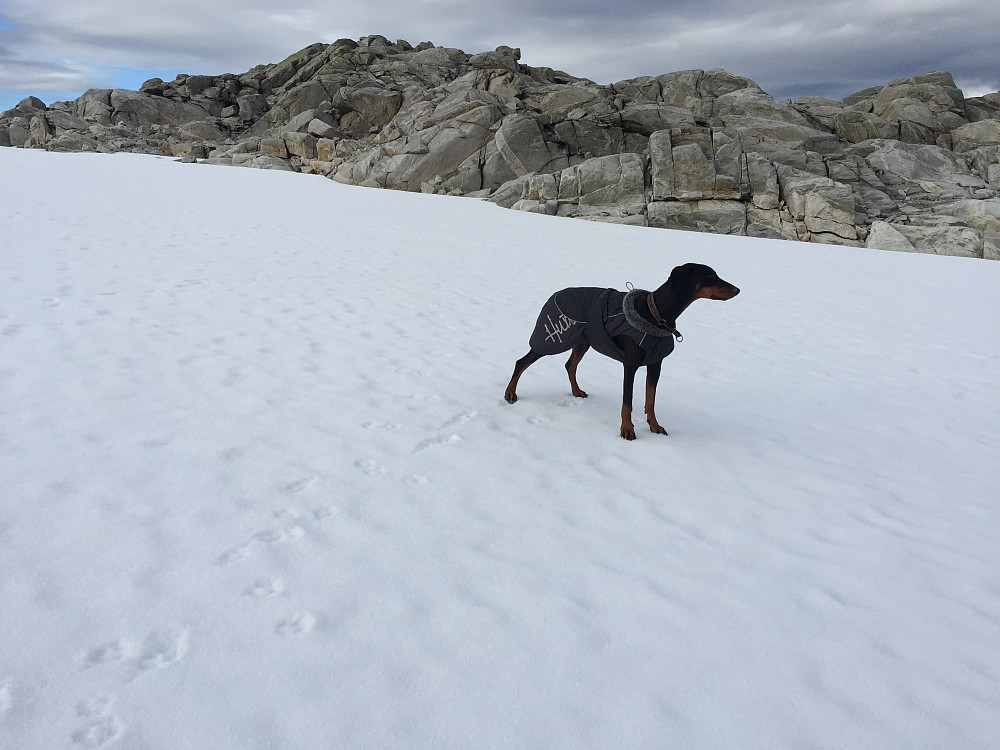 Forsatt snø