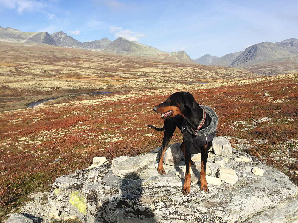 Fargene i Rondane er noe for seg.