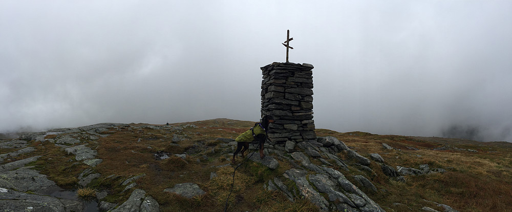 Austfjellet