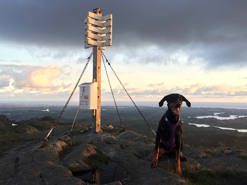 Liatårnet i flott kveldslys.
