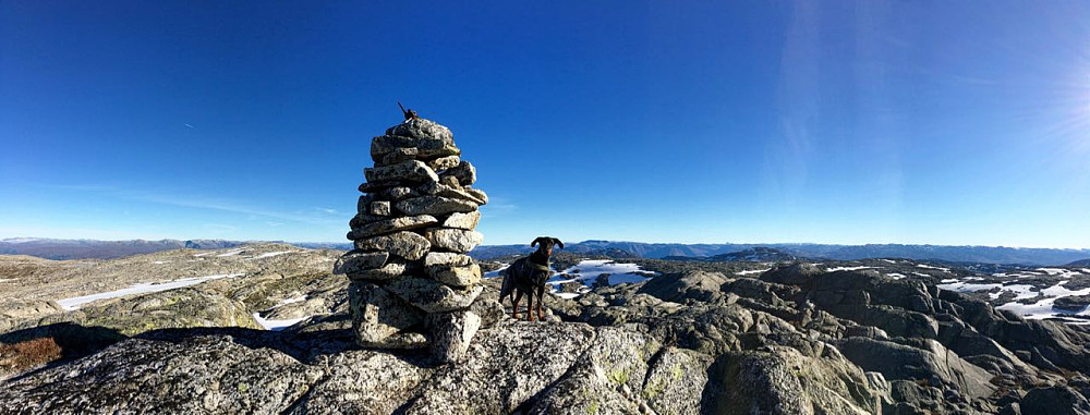 Fantastisk utsikt fra Hjortahorgi