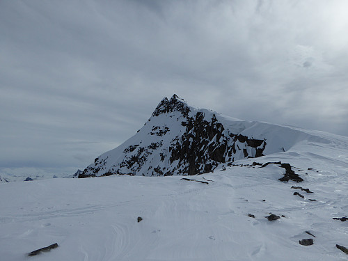 Skjervan