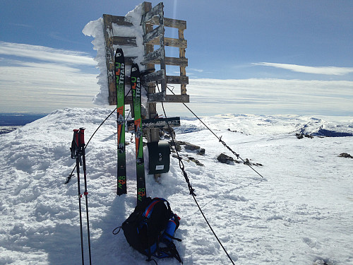 Skogshorn 1728moh, 5. juni 2015