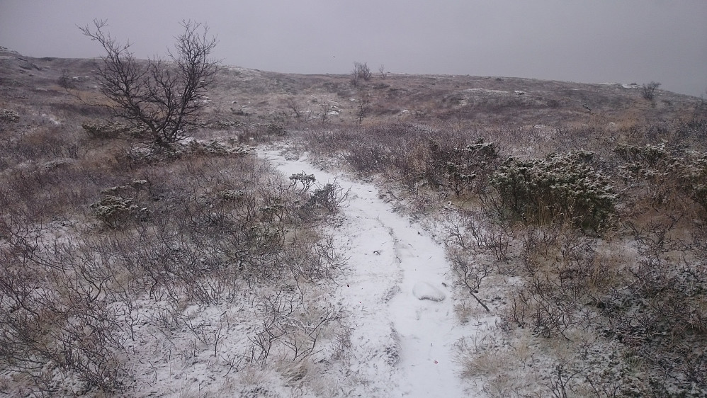 Grått snøvær.
