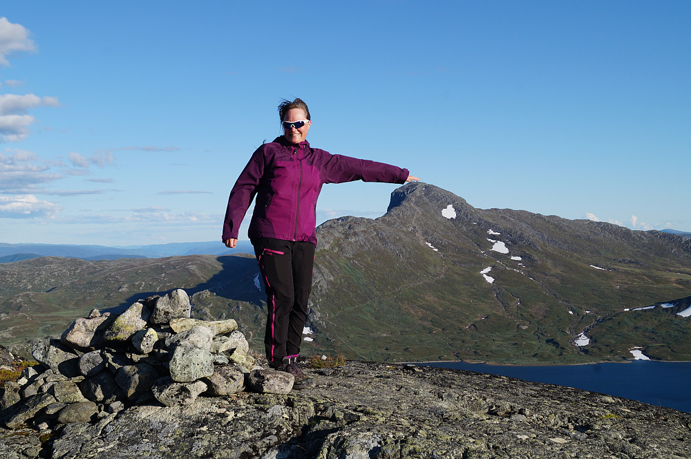 Klapper ørnen på hodet