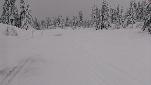 På tur mot Skardåsen i november