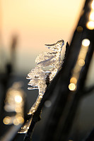 Taxitheo_20170213_58a210e34124e.jpg