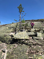 Taxitheo_20180521_5b02e69636282.jpg