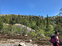 Taxitheo_20180521_5b02e696f2374.jpg