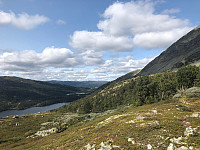 Taxitheo_20180826_5b82af713d489.jpg