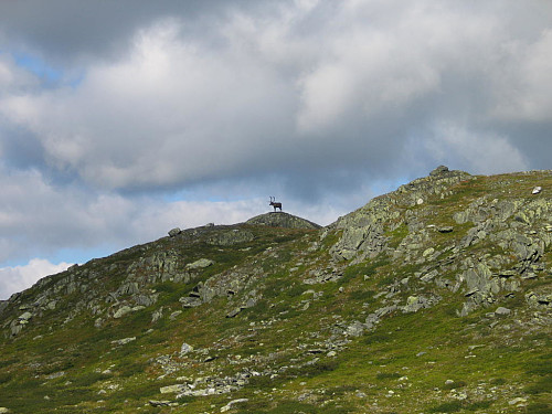 Kongen på haugen 
