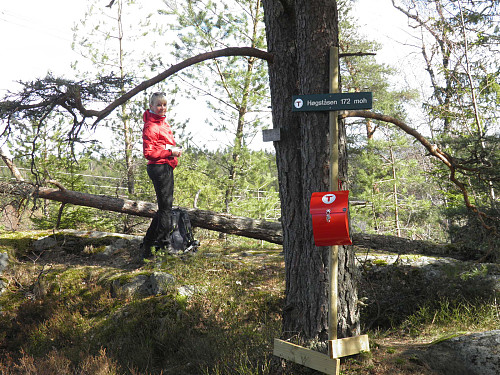 Postkasse med bok og skilt på høyeste punktet i Stokke kommune