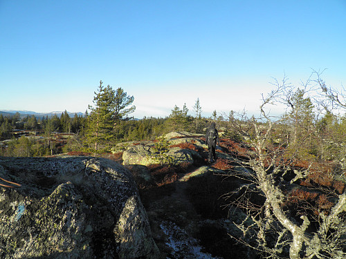 Nordover Fjøsvikfjellet mot toppvarden