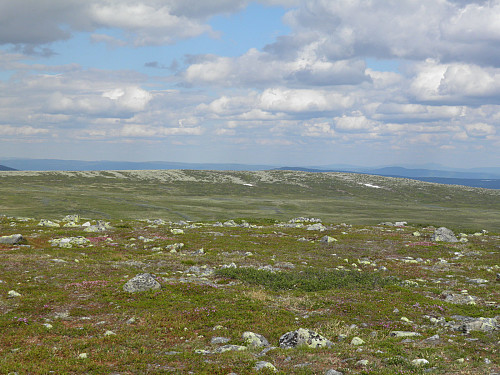 Utsyn fra Tuva mot Hemmelkampen 