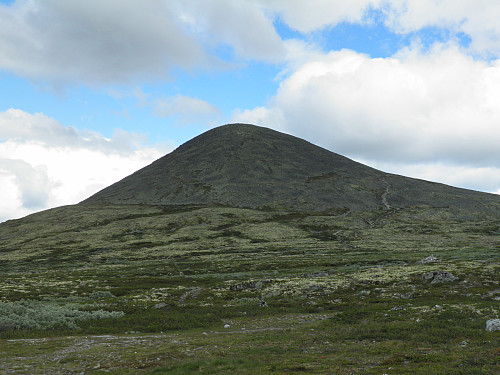 Muen fra parkeringen