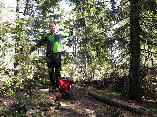 Råtne stokker (rester etter hytte?) på toppen av Vardåsen. Skikkelig skogstopp med null utsikt.
