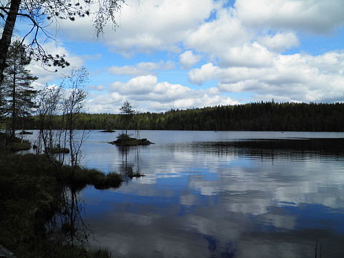 Steinsjøen, et idyllisk skogsvann