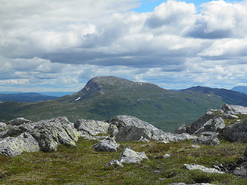 Utsikt fra Bosnuten - Høyest i Seljord, Brattefjell 1540 moh 