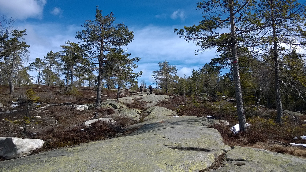 Flotte flaberg mot toppen