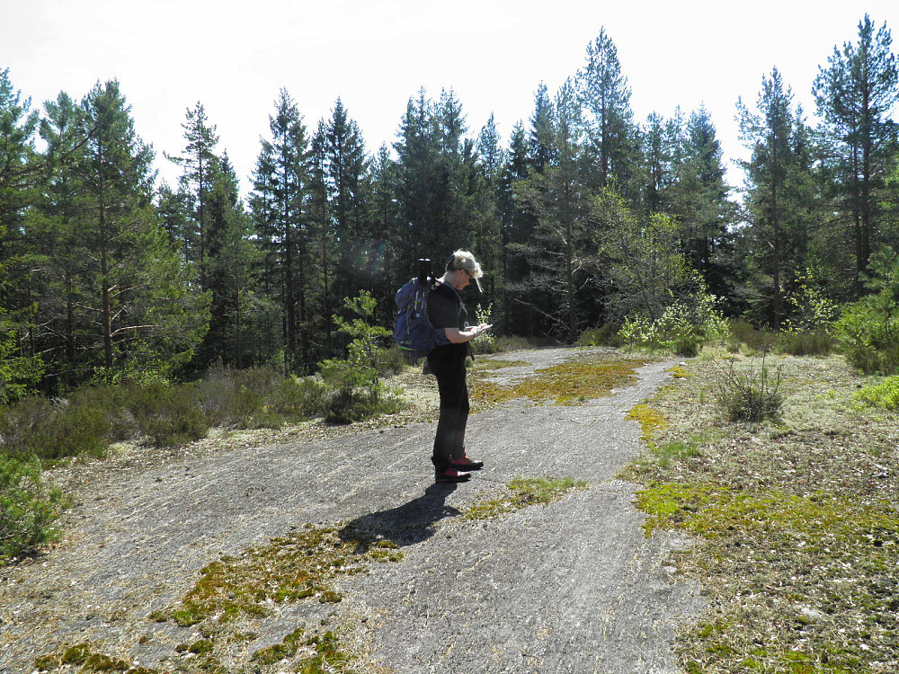 Stien gikk mye på flaberg