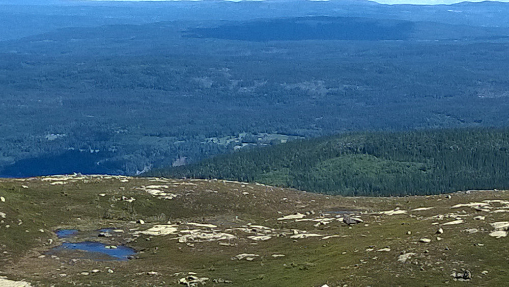 Blakstvedt Søndre (Branes) fra Vikerfjell. Gården lengst til høyre 