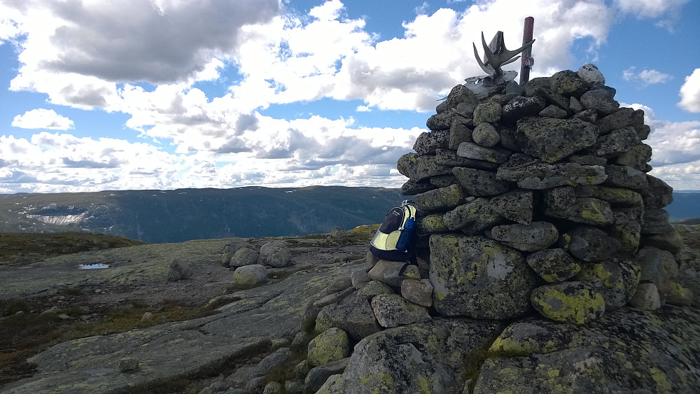 Stor steinvarde med skilt og elghorn på toppen av Jøranfisen. Storrustefjell i bakgrunnen. Vidalen ligger i mellom