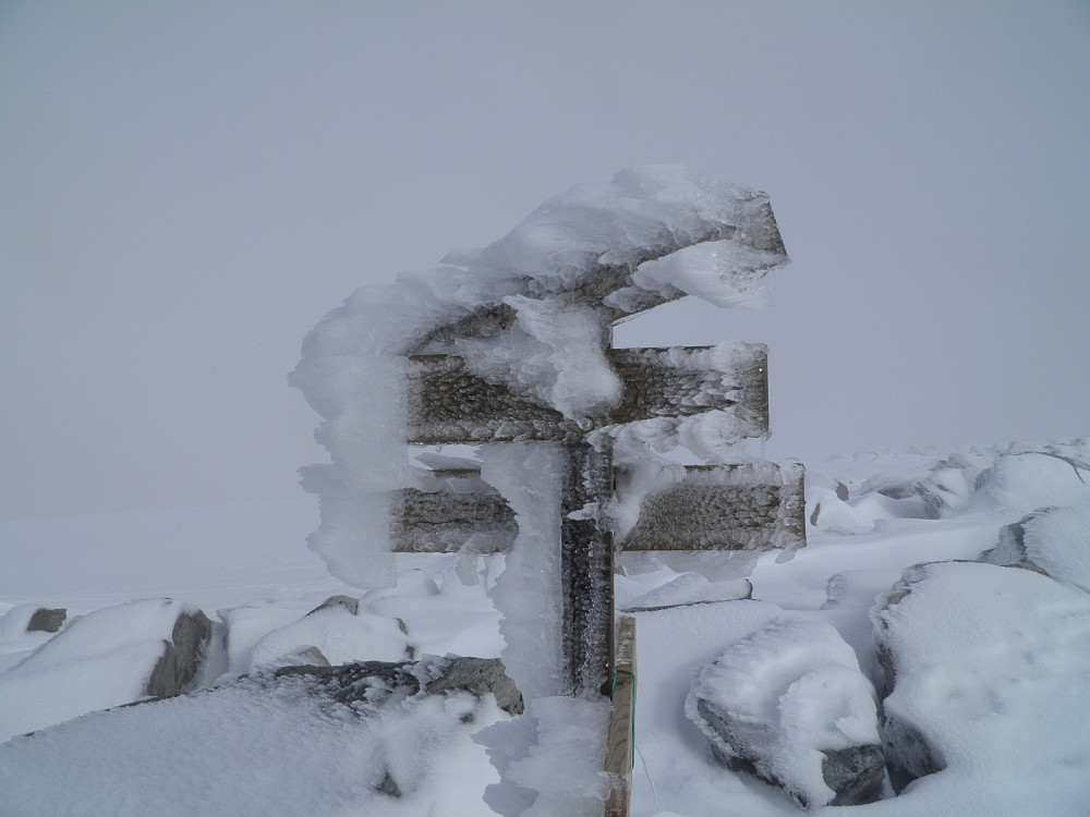 Nysnø på toppen