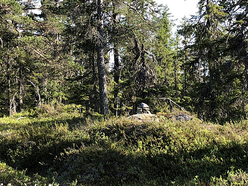 Liten Steinvarde på Østre Langvassbrenna